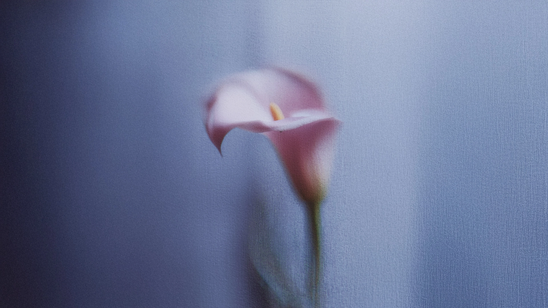 Sequence 1